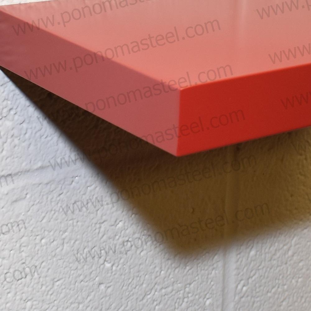 12"x6"x1.5" (cm.30,5x15x3,8) stainless steel floating shelf freeshipping - Ponoma