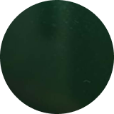 Hunter green color swatch