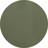 Sage green color swatch